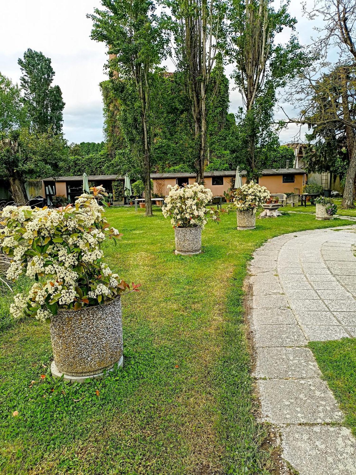 מירה Villa Olanda מראה חיצוני תמונה